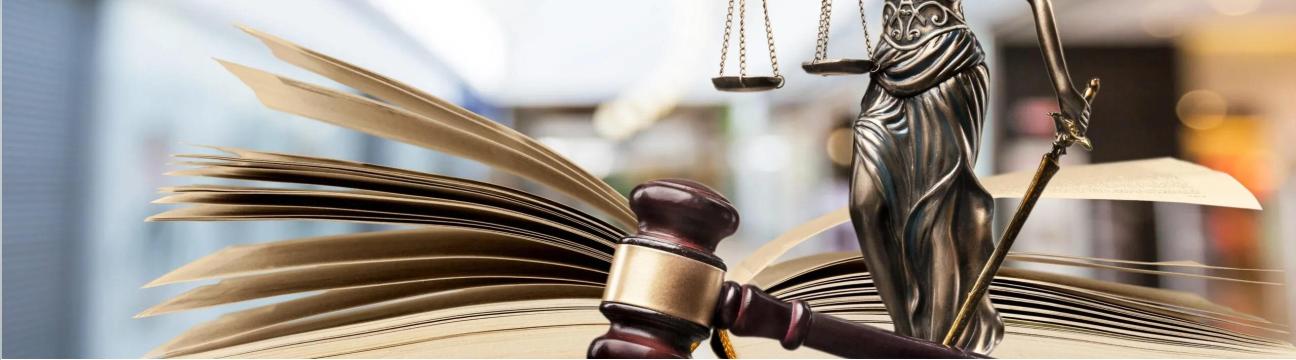 The Law Office of Ti&agrave; Sherene McCalla