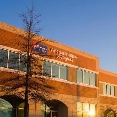 Vascular  Institute 
